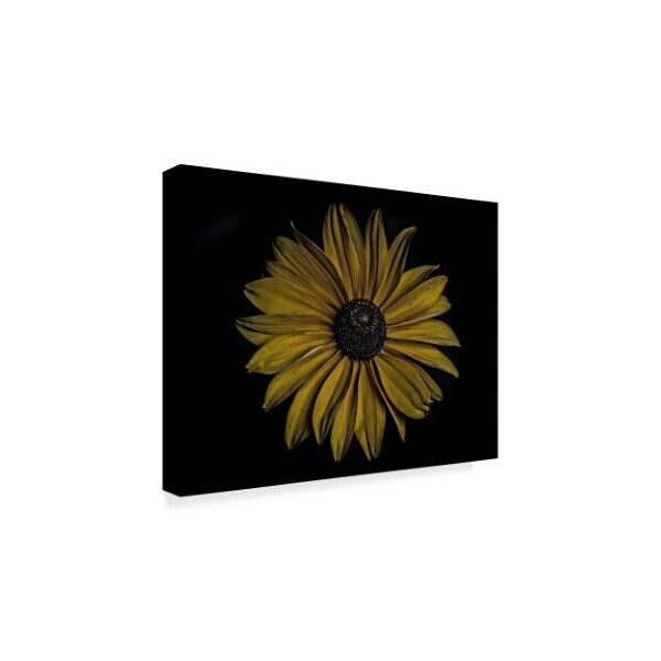 Lori Hutchison 'Sunflower Bold' Canvas Art,18x24